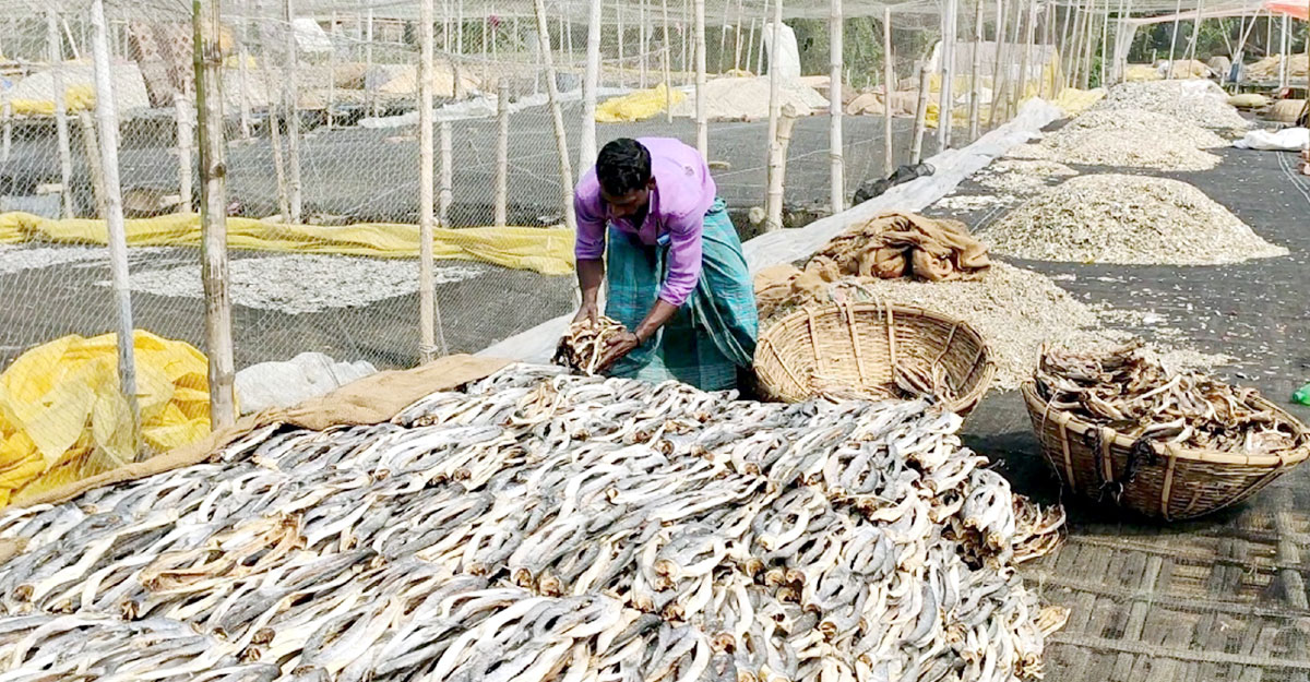 Dhaka Post