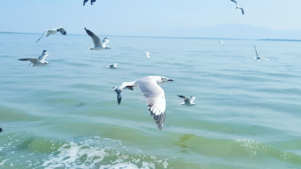 Dhaka post