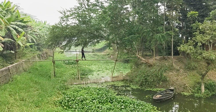 Dhaka Post