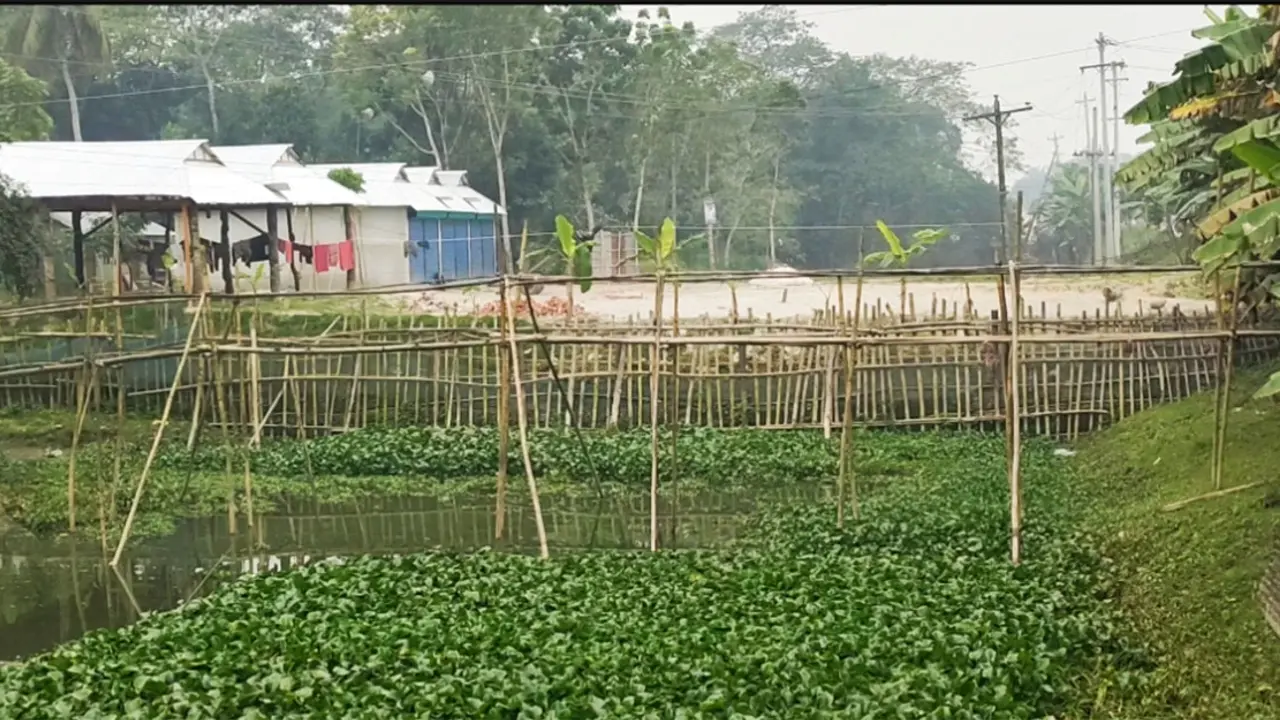 খাল ভরাট করে করাতকল-দোকান নির্মাণ, জলাবদ্ধতার শঙ্কায় এলাকাবাসী