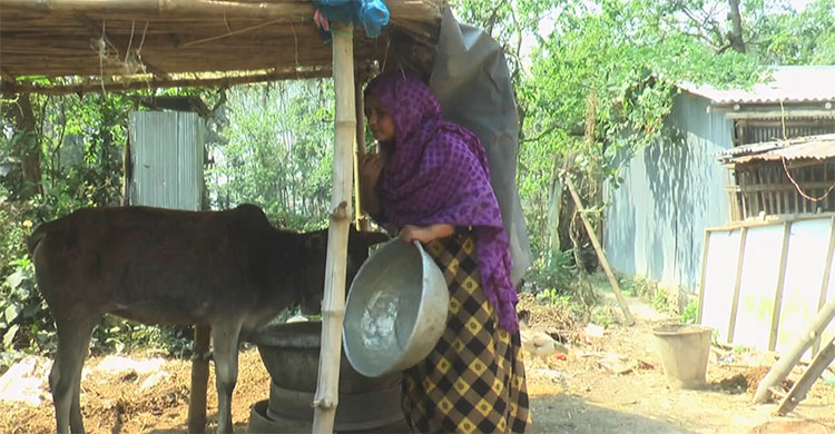 Dhaka Post