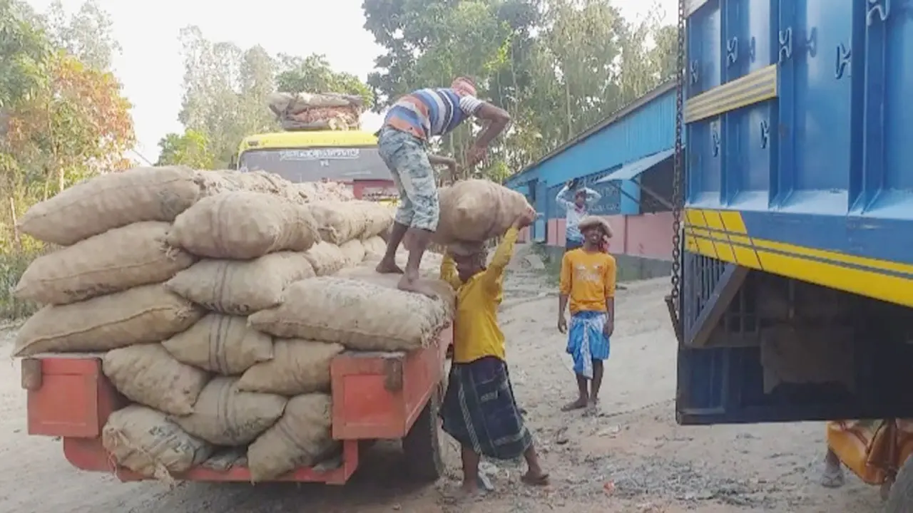 মুন্সিগঞ্জে আলু সংরক্ষণ শুরু, নির্দিষ্ট করা হয়নি হিমাগার ভাড়া