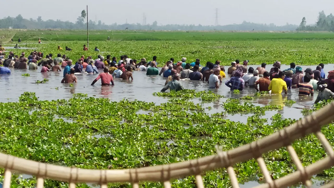 পলো দিয়ে শতবর্ষী বিলে মাছ ধরার উৎসব
