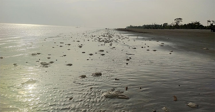 Dhaka Post