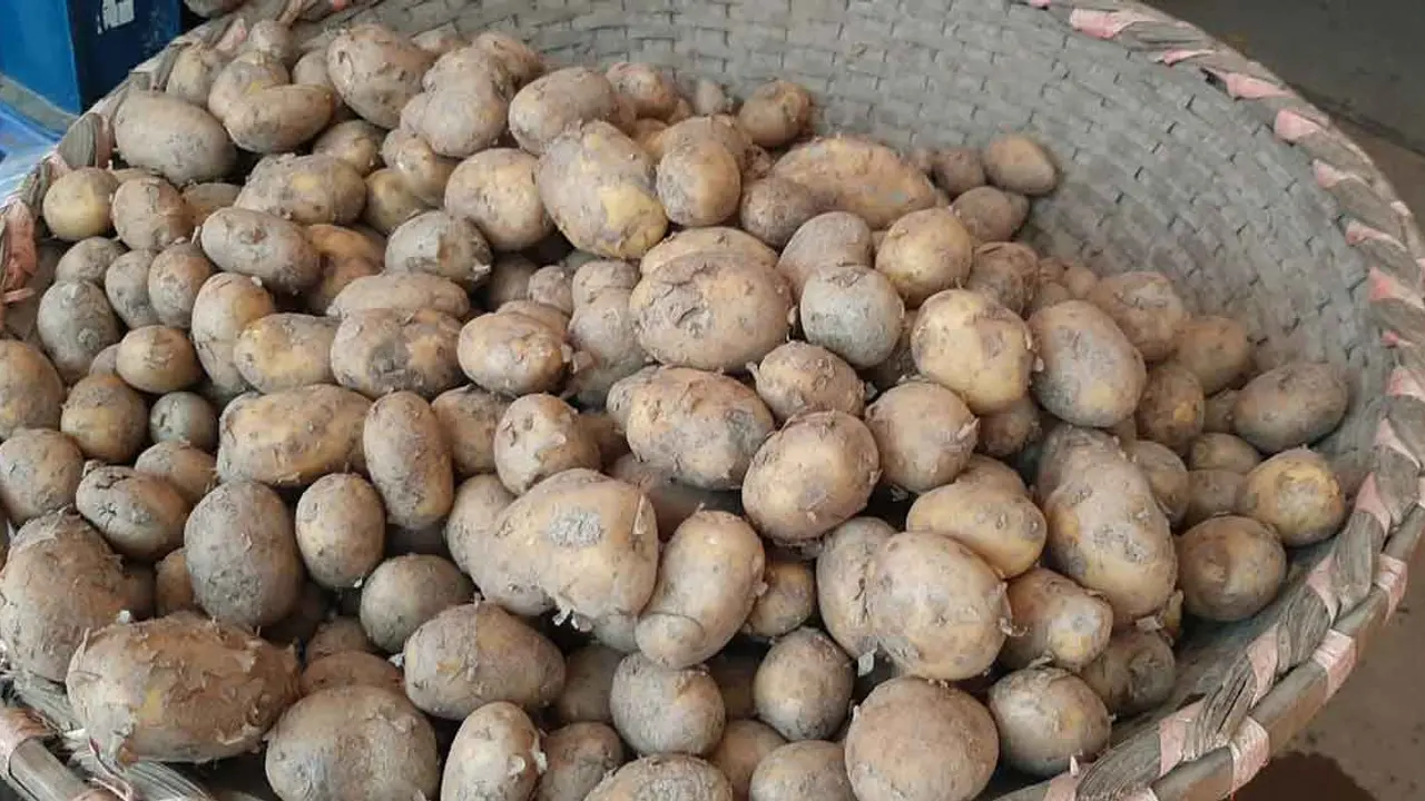 এবার বেড়েছে আলুর দাম