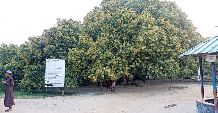 Dhaka Post