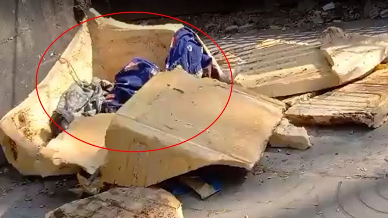 রাস্তার পাশে পড়েছিল দুই নবজাতকের মরদেহ