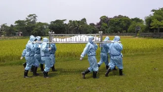 33 deaths in 24hrs, positivity rate below 20%