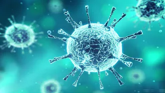 How to stop the spread of COVID-19