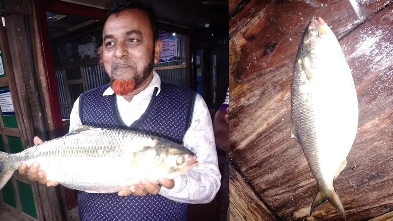 এক ইলিশ বিক্রি হলো সাড়ে ৪ হাজারে