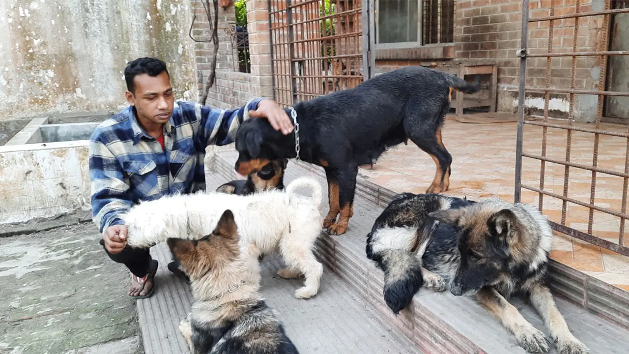 বিদেশি কুকুরের খামার করে খুলনার গালিবের চমক