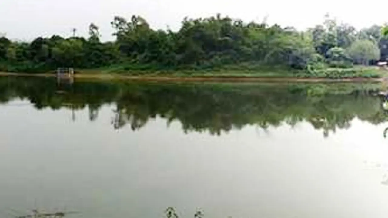 পুকুরে মিলল ২ মাস বয়সী যমজ শিশুর মরদেহ