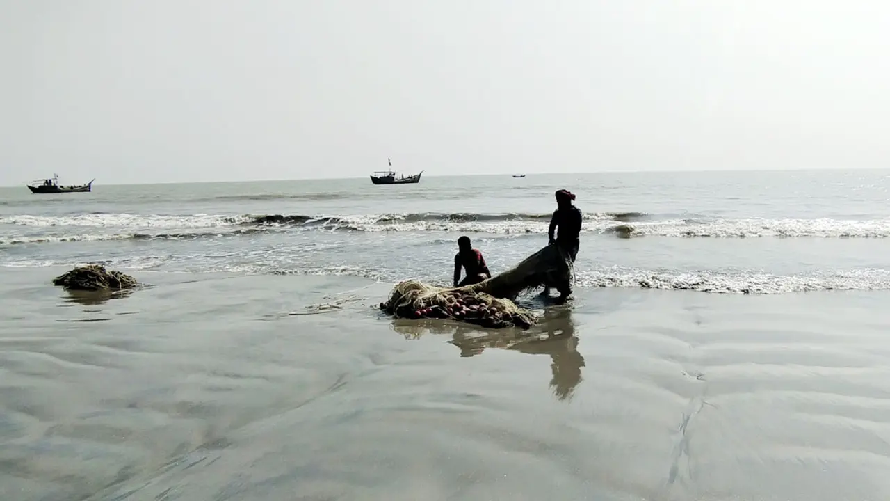 সমুদ্রে ভাসছে অসংখ্য জেলিফিশ, বেকায়দায় জেলেরা