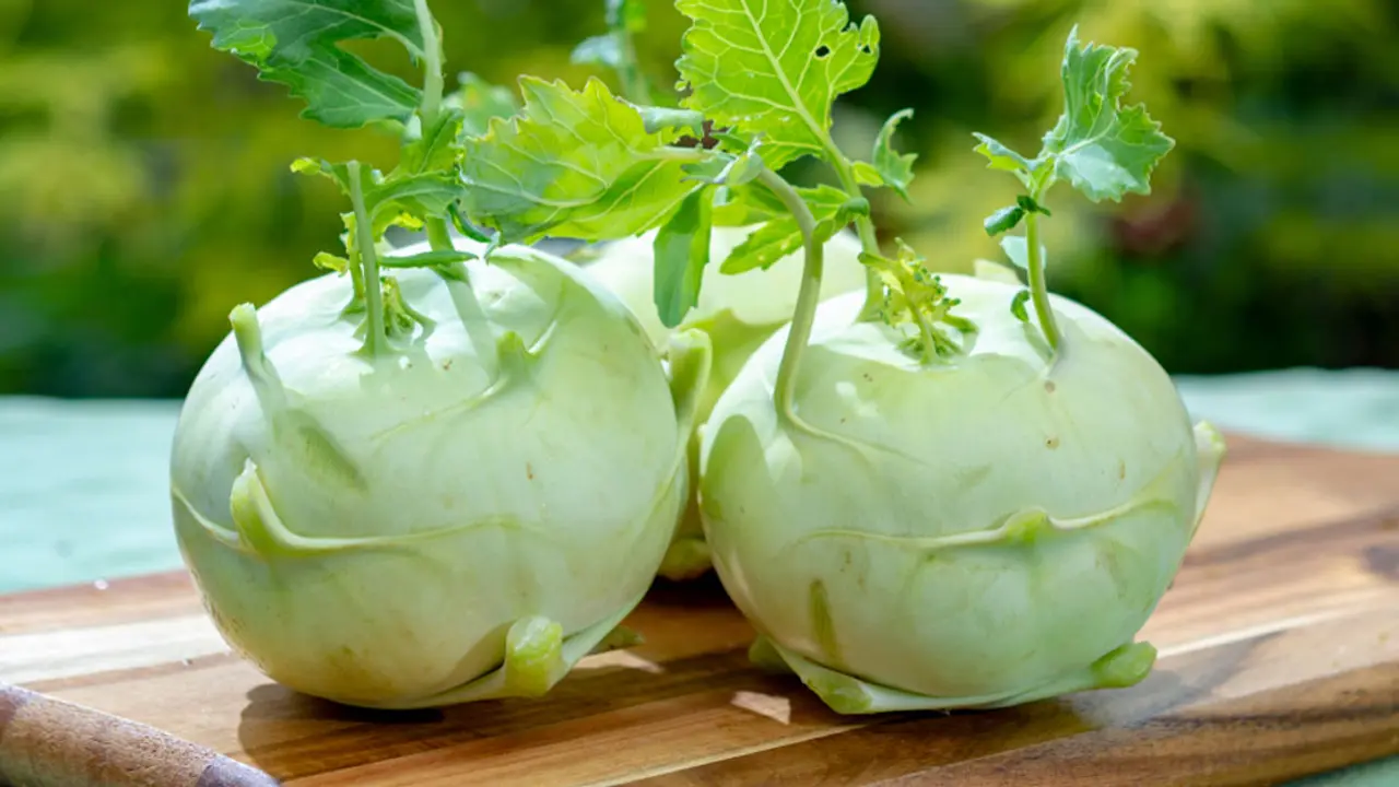 শালগম খাওয়ার উপকারিতা