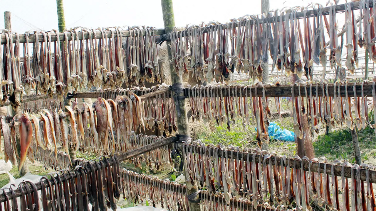 একটু সহযোগিতা পেলেই ভালো থাকবে শুঁটকিপল্লি