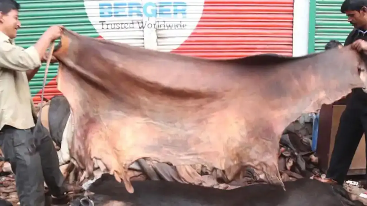‘ট্যানারি মালিকেরা আমাদের মানুষই মনে করেন না’