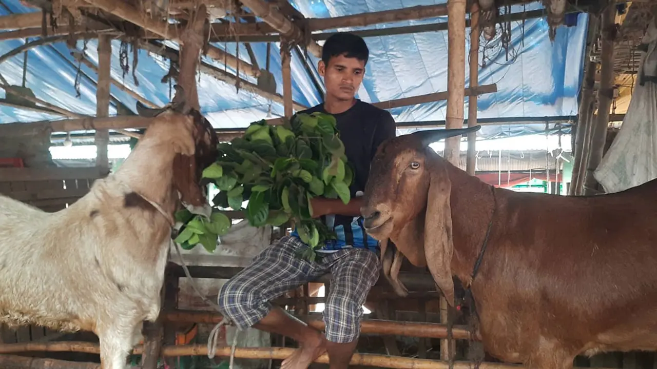 গাবতলী হাটে রাজা বাবু, দাম আড়াই লাখ!