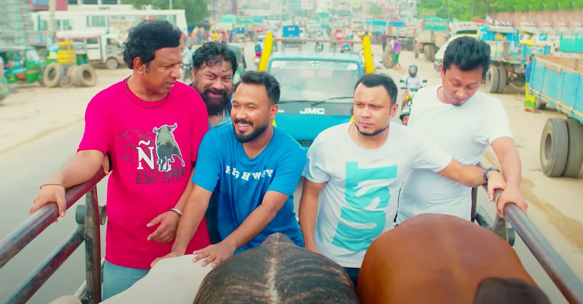 পাশা-কাবিলা-হাবু-শুভদের কোরবানি আজ রাতে