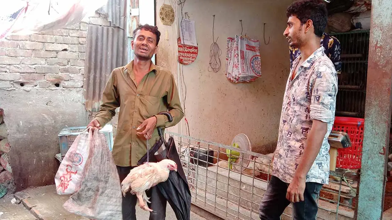 ব্রয়লার মুরগির গোশতই আমাদের জন্য উট-গরুর গোশত