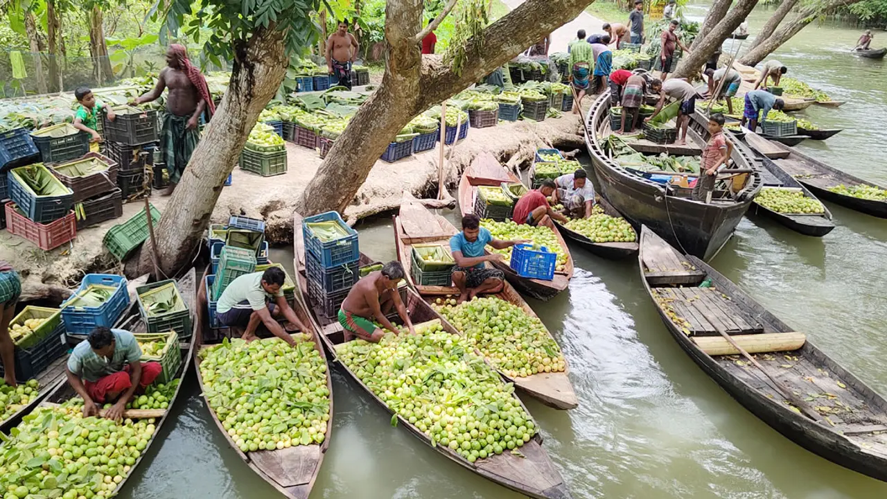 ভিমরুলির ভাসমান হাটে গিয়ে হতাশ হচ্ছেন পর্যটক