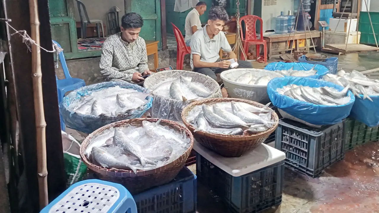 চাঁদপুরে ইলিশের আকাল