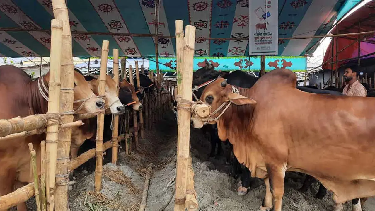 ক্রেতা না থাকায় মন খারাপ বেপারীদের