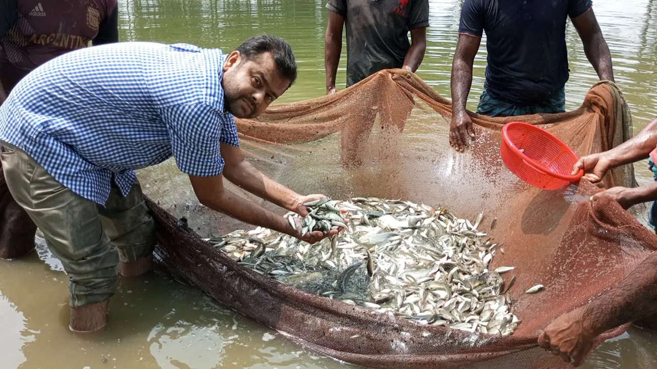 এমবিএ করা তারেক মাছ চাষে দেশসেরা