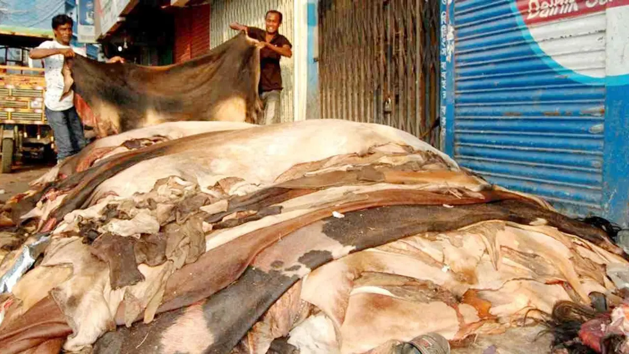 গরিব মেরে লাভ কার?