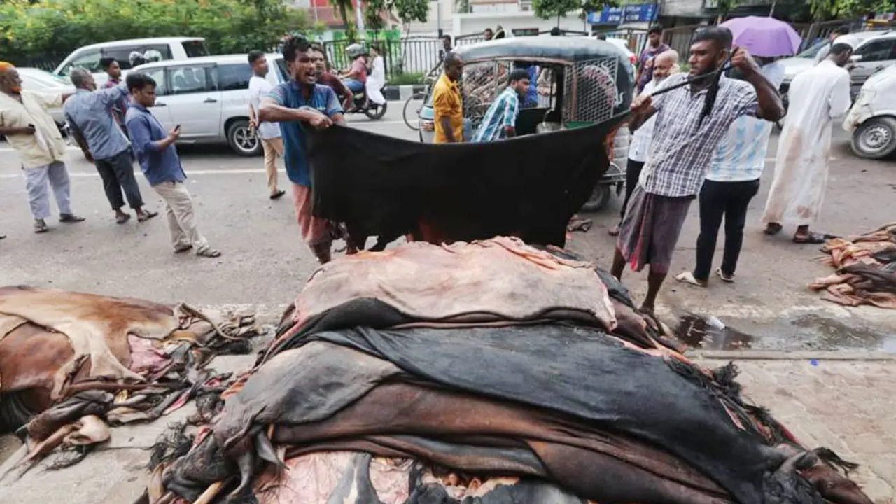গত বছরের তুলনায় বাড়ল চামড়ার দাম