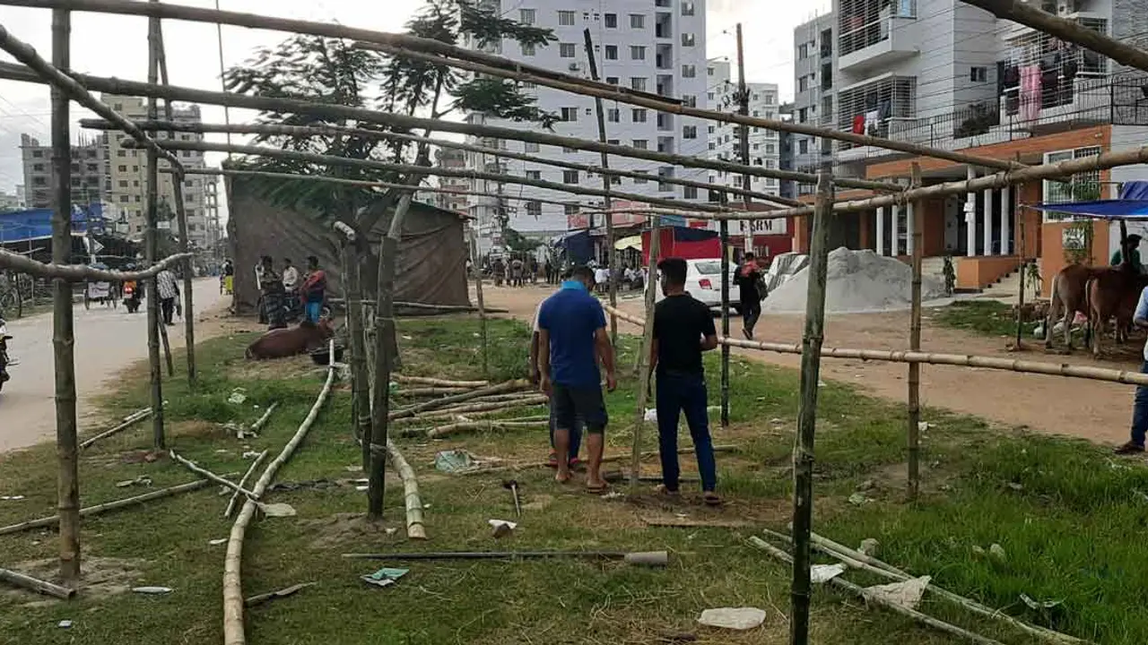 প্রস্তুত হচ্ছে আফতাবনগর হাট, আসছে কোরবানির পশু