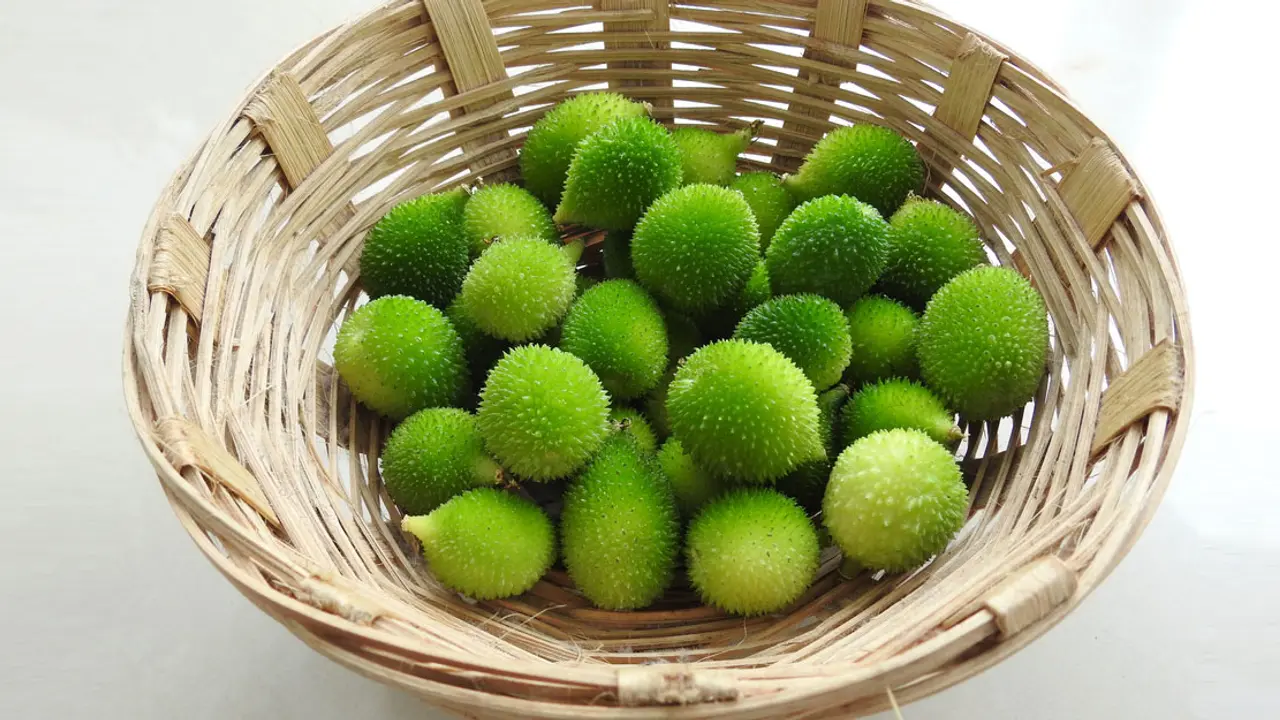 কাঁকরোল খাওয়ার উপকারিতা