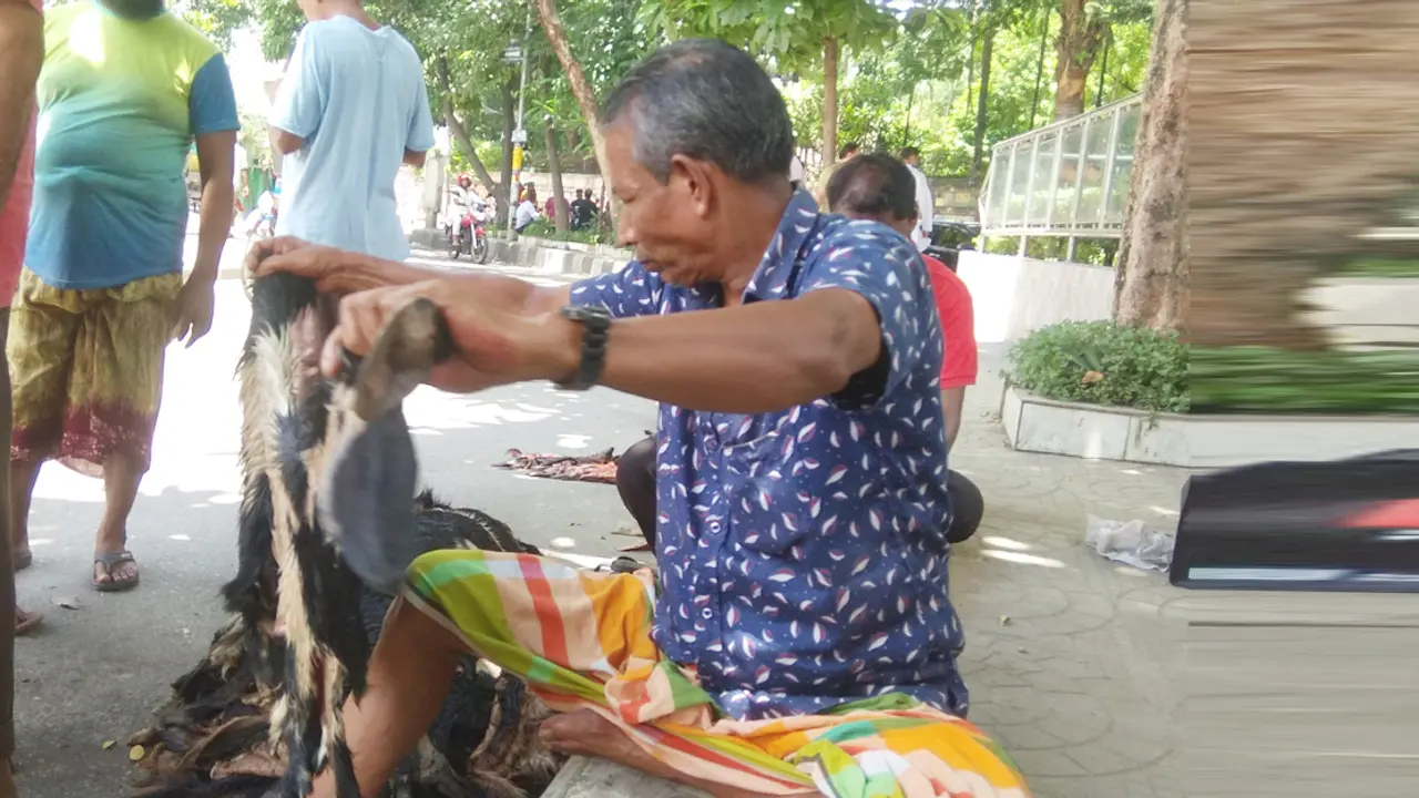 খাসির চামড়ায় নেই আগ্রহ, বিনামূল্যেও নিচ্ছে না কেউ