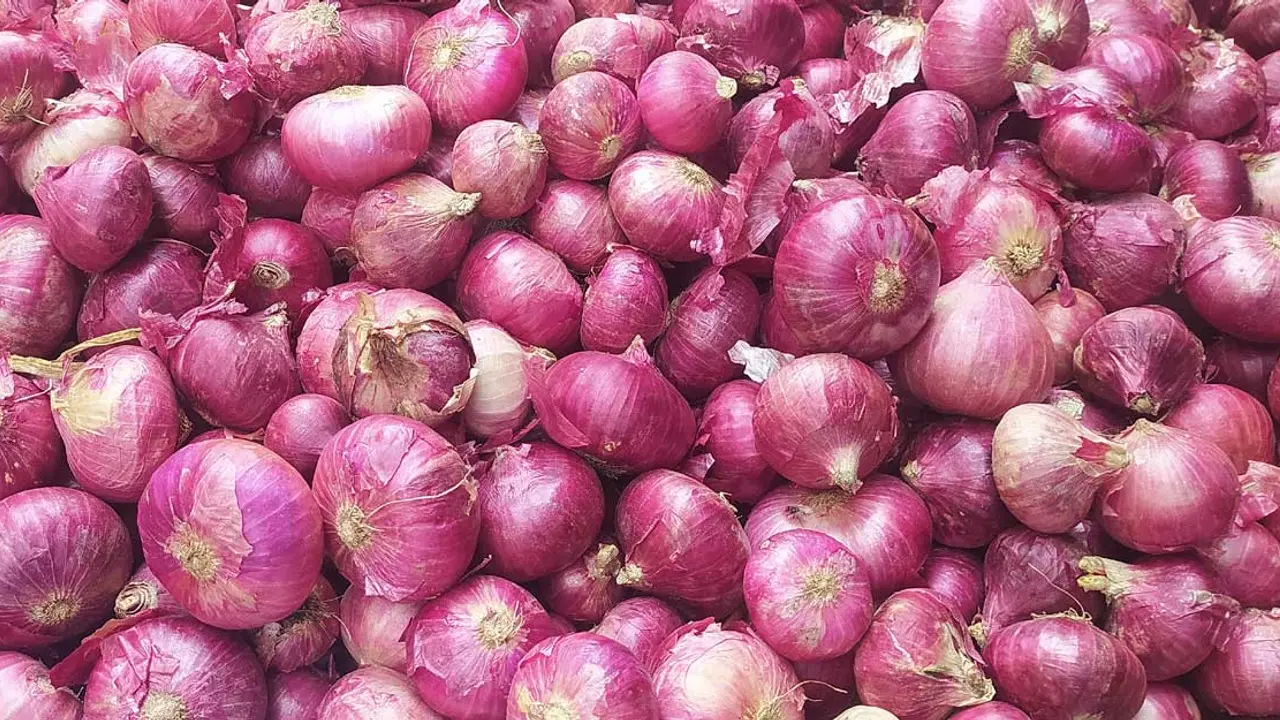 পেঁয়াজ নিয়ে সতর্ক অবস্থানে ভারত 