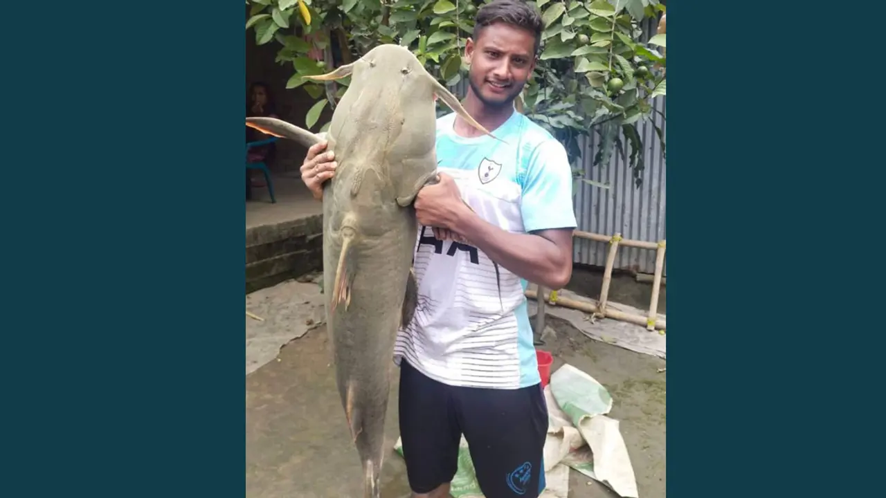 শখের বসে নদীতে জাল ফেলে পেলেন ৩০ কেজির বাগাড়