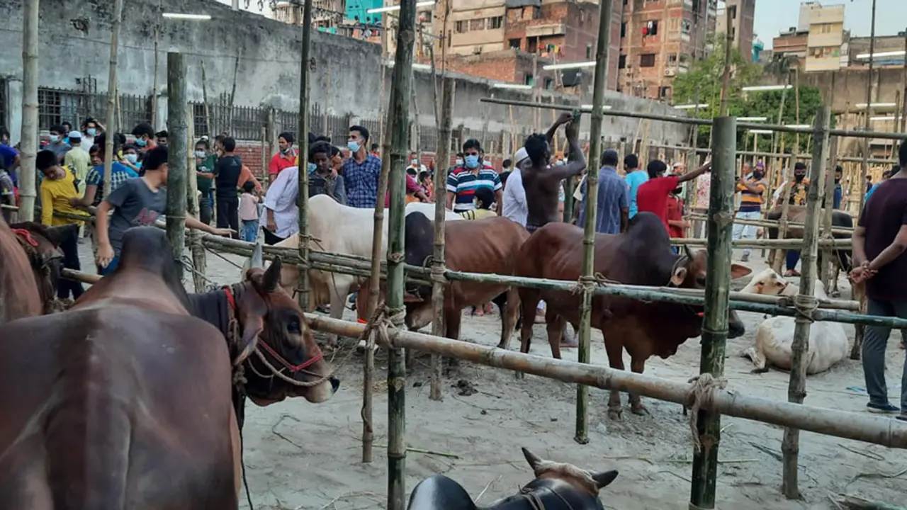 ঢাকার উত্তরে এবার ৮ হাট, দক্ষিণে ১০ 
