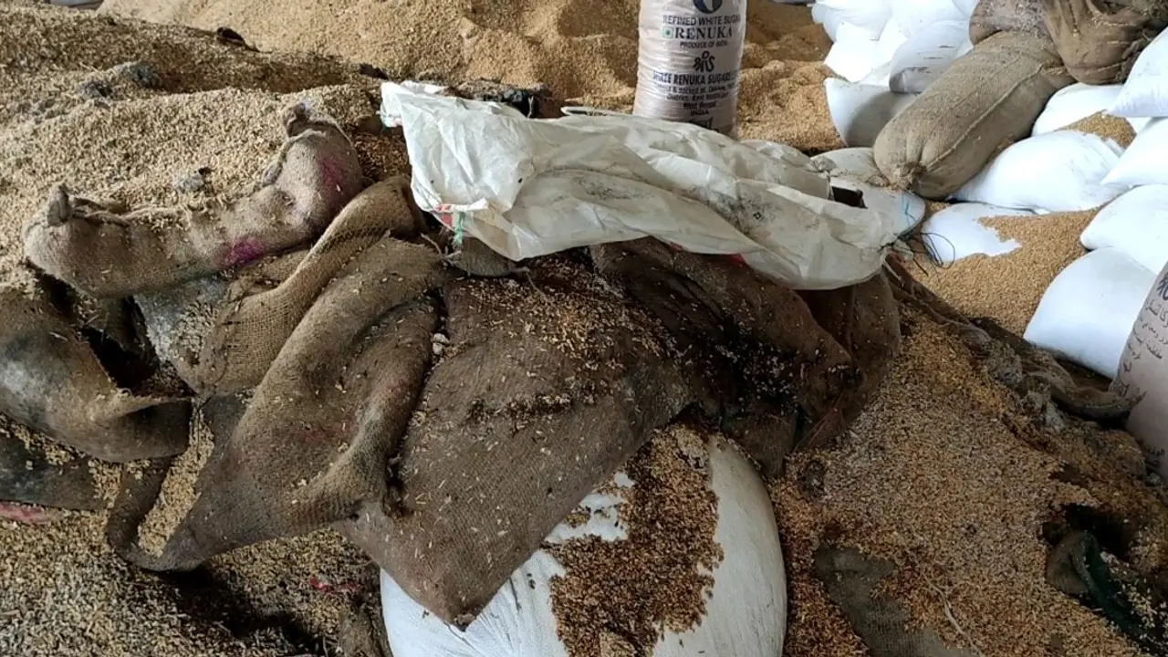 আখাউড়া স্থলবন্দরে পড়ে আছে ভারত থেকে আসা ১০০ টন ‘পচা গম’
