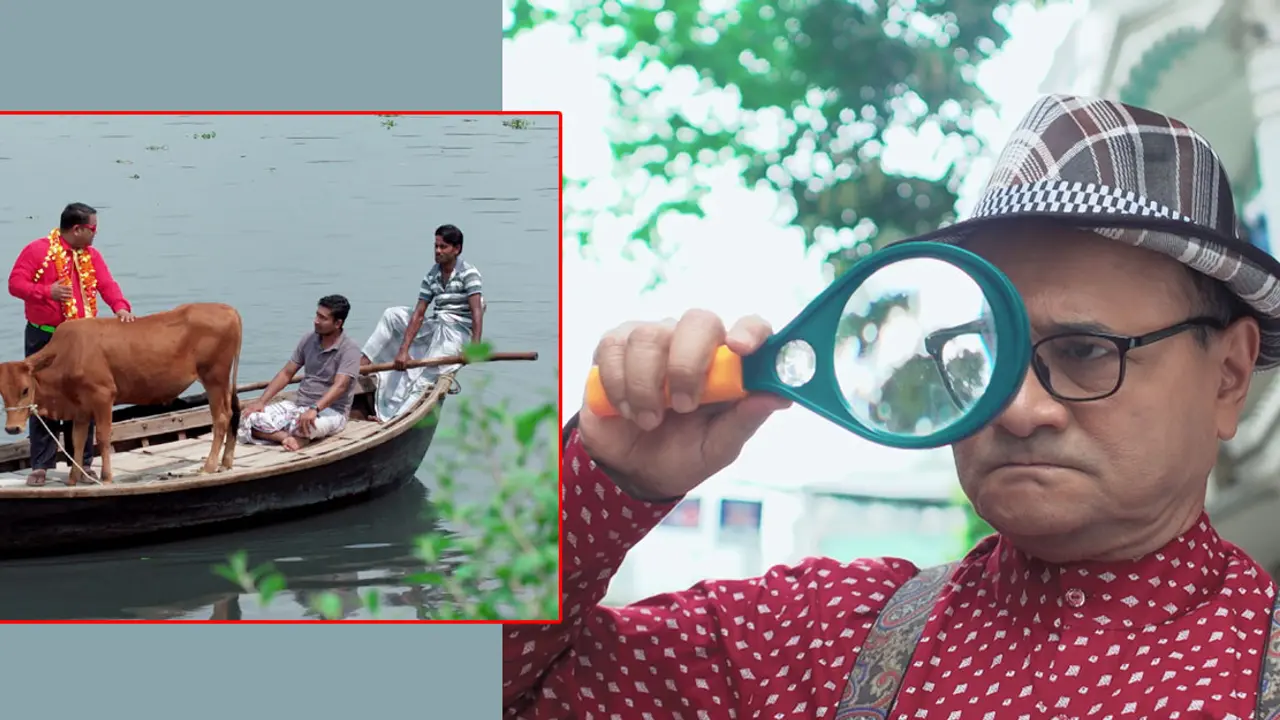 হারানো গরুর খোঁজে ডা. এজাজ!