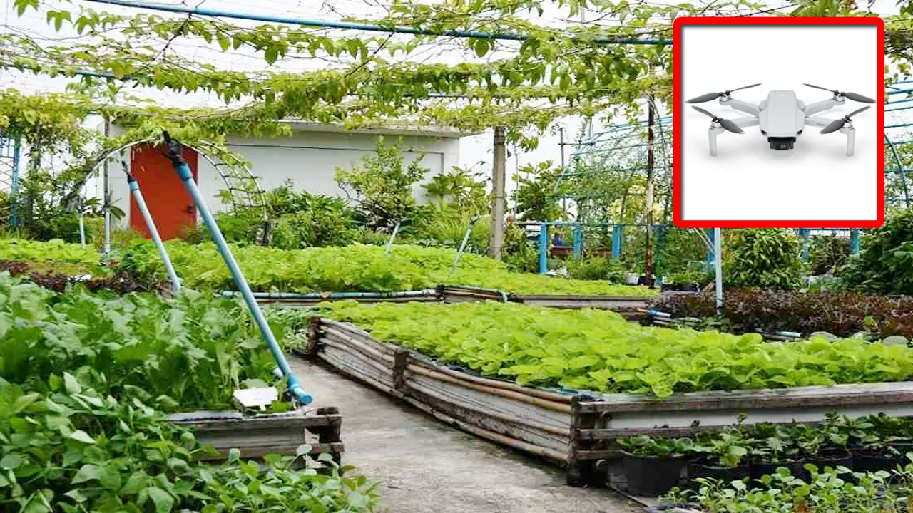 ছাদ বাগানে যাচ্ছে ড্রোন, ‘কিলবিল’ দেখলেই জরিমানা