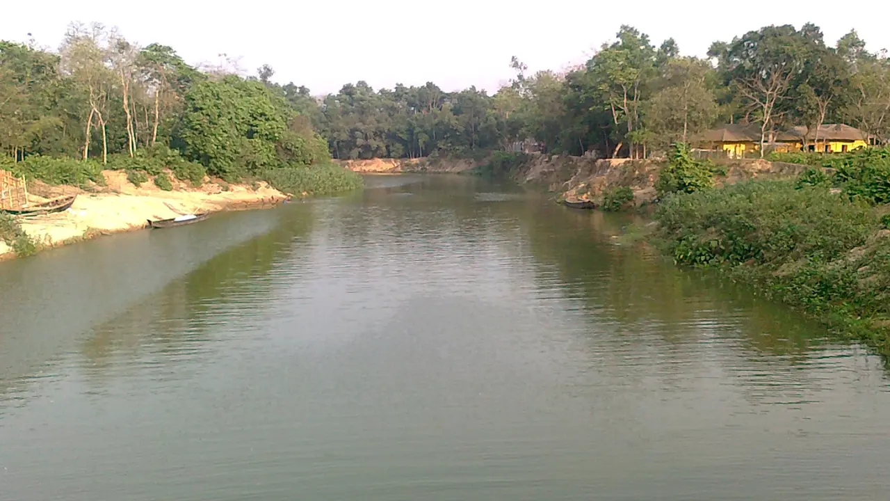 হালদা থেকে মৃত ডলফিন উদ্ধার
