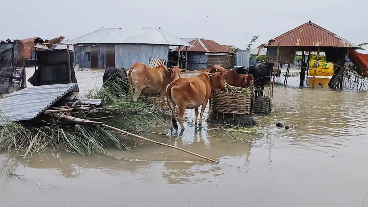 কুড়িগ্রামে বন্যা পরিস্থিতির অবনতি, পানিবন্দি লাখো মানুষ