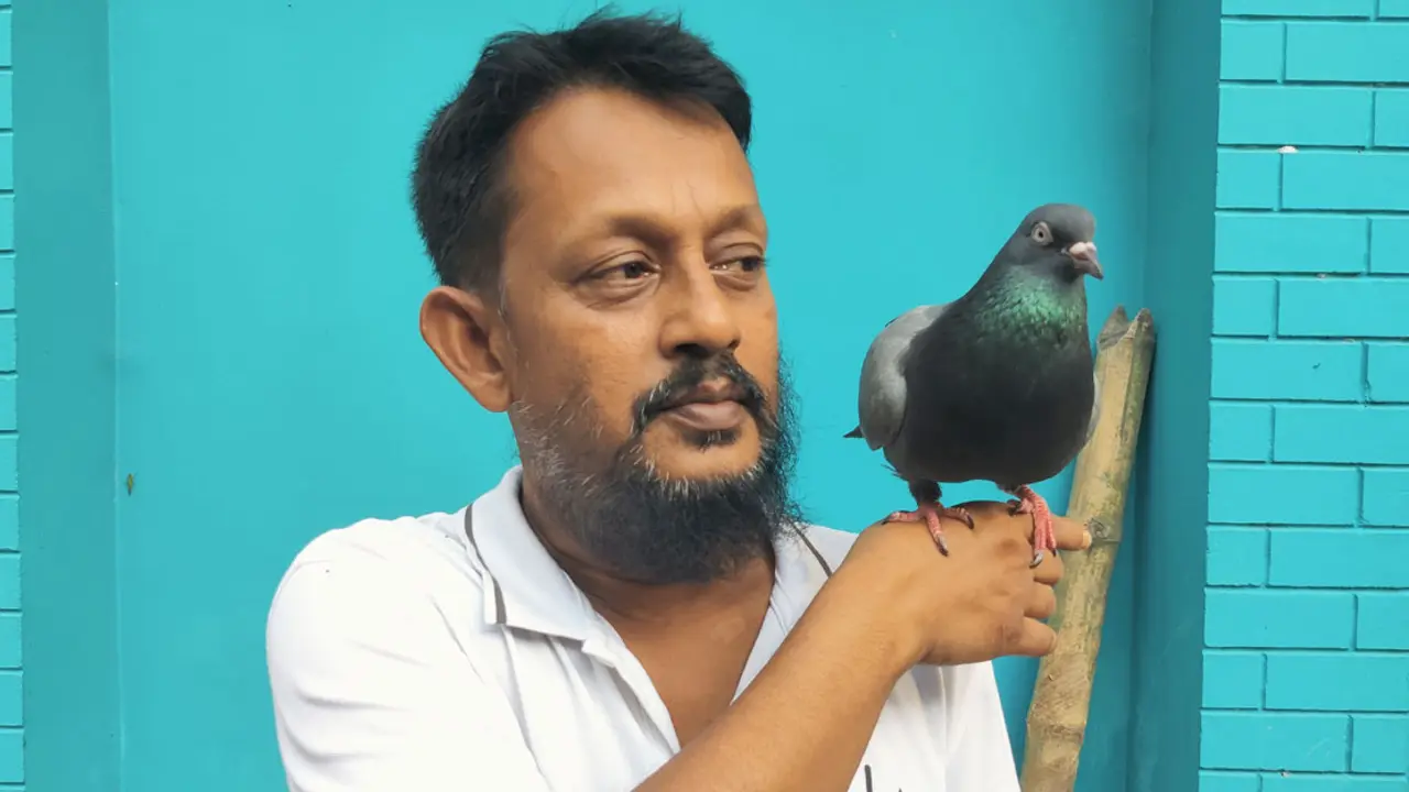 কারাগারে সখ্য, আসামির সঙ্গে চলে এলো কবুতর
