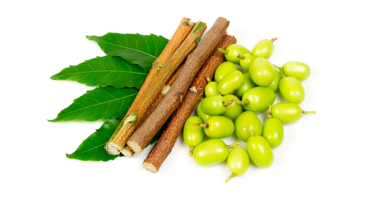 নিমডাল দিয়ে দাঁত মাজার উপকারিতা