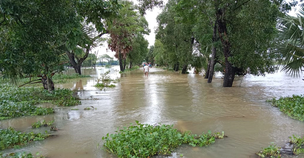 Dhaka post