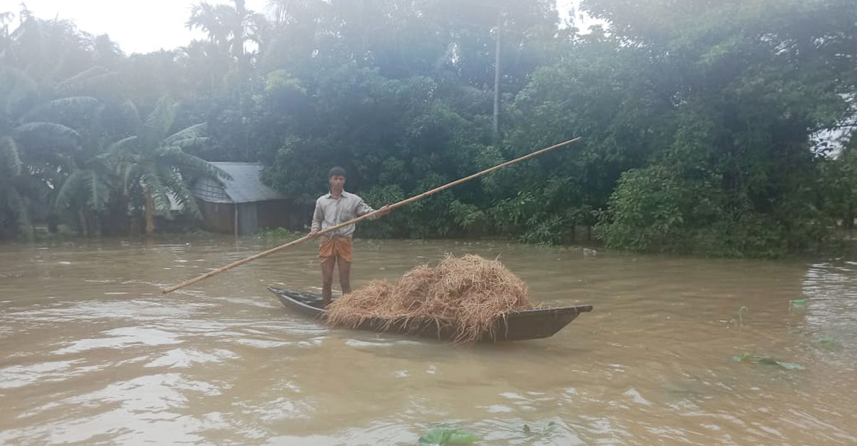 dhaka post