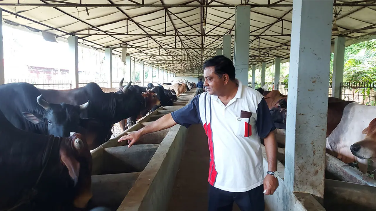 বছরে খামার থেকে ২০০ গরু বিক্রি করেন শিহাব
