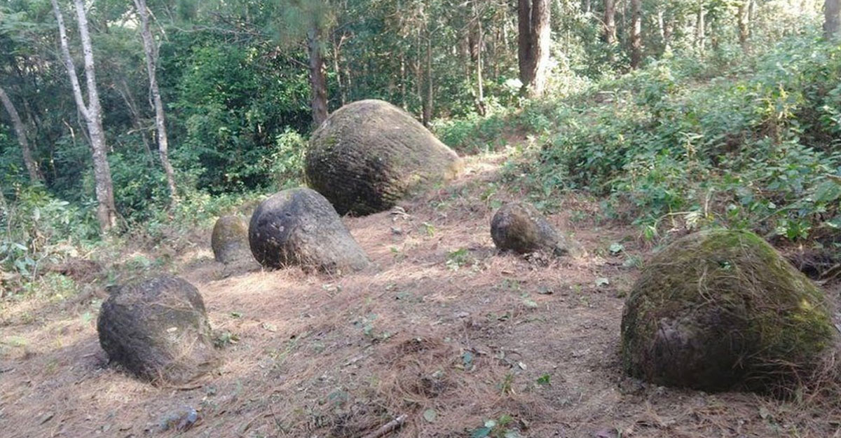 assam 2