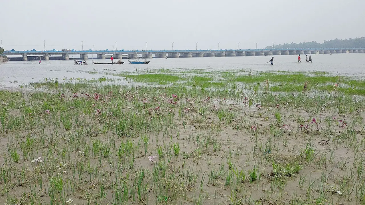 তিস্তায় হঠাৎ আসা পানিতে কৃষকদের ঘরে হাসি-কান্না