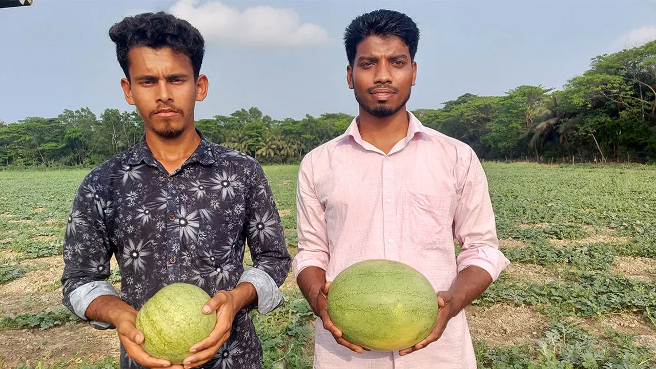 ৮ লাখ টাকার তরমুজ বিক্রির আশা দুই বন্ধুর