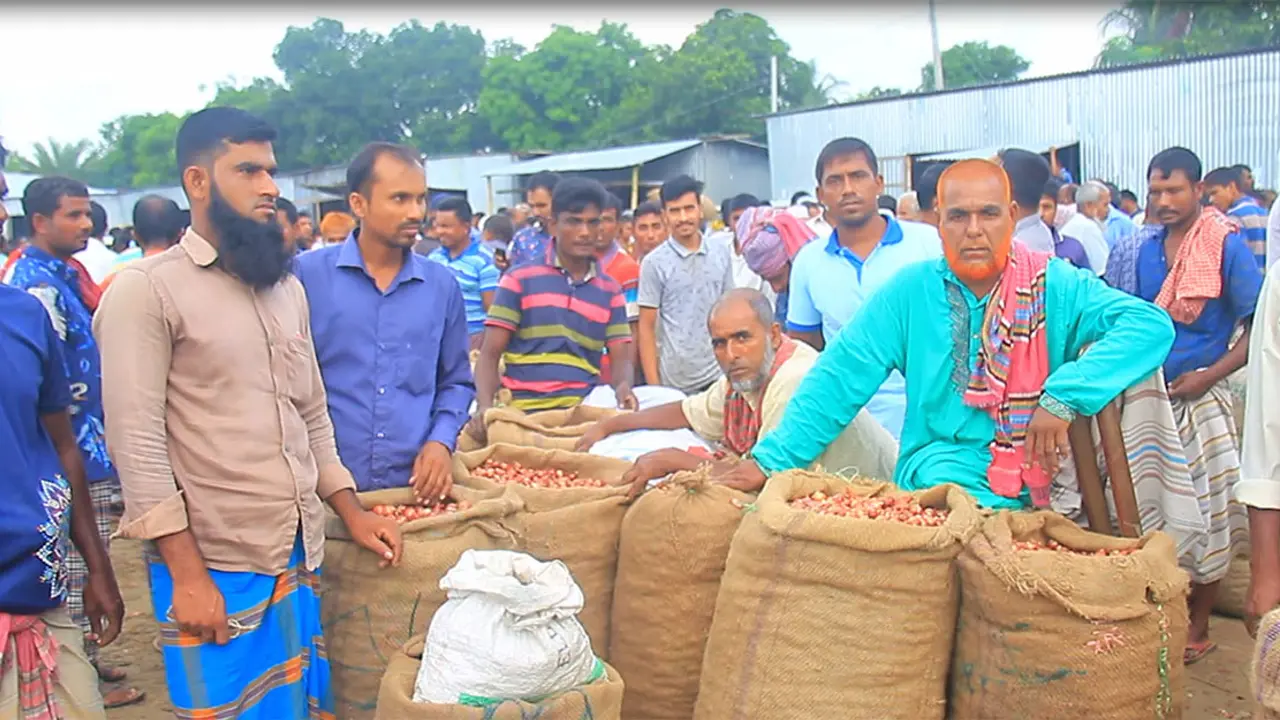 পাবনায় চাহিদার বেশি উৎপাদন, পেঁয়াজের দাম পাচ্ছেন না চাষিরা