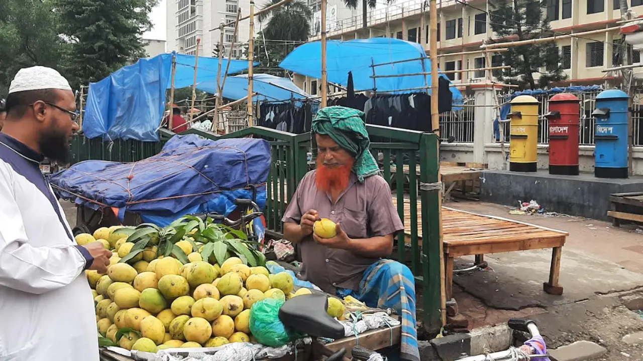 বাজারে ‘ক্ষতিকর’ পাকা আমের ছড়াছড়ি, স্বাদে পানসে